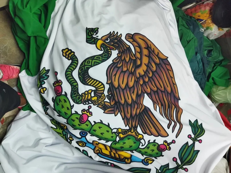 Imagen 19
